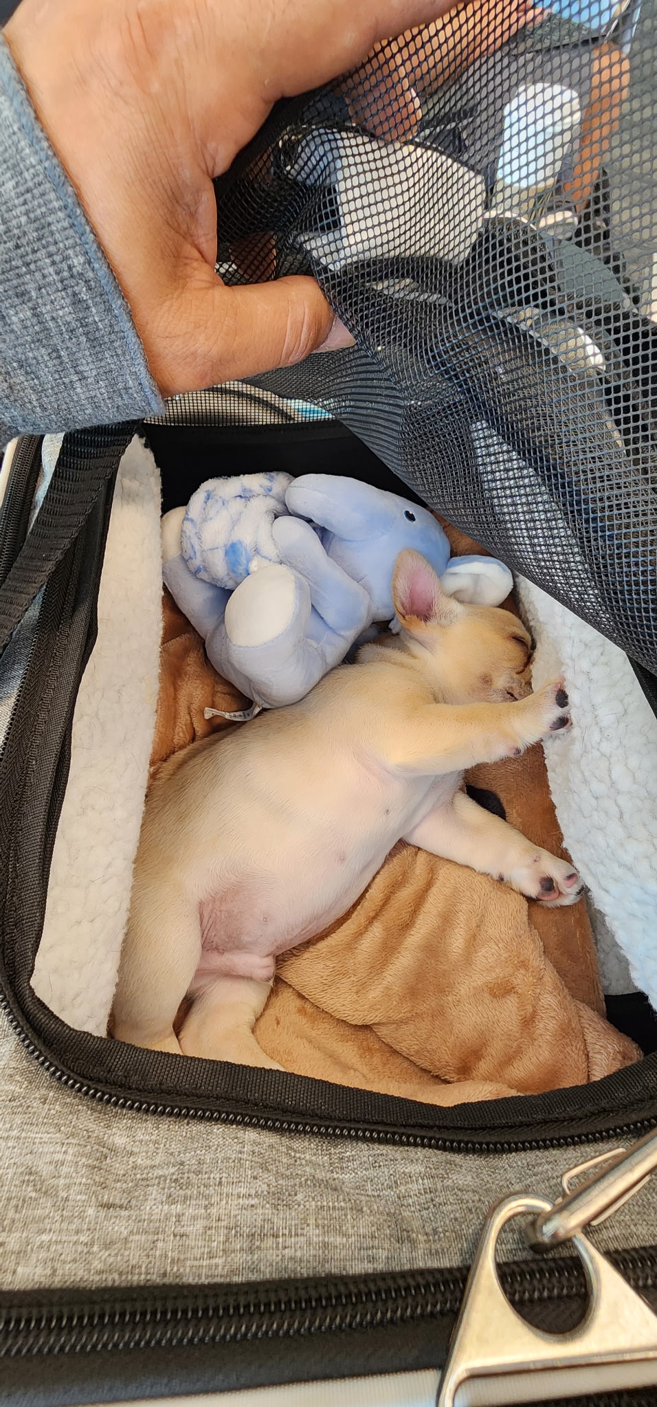 Winston goes on an airplane