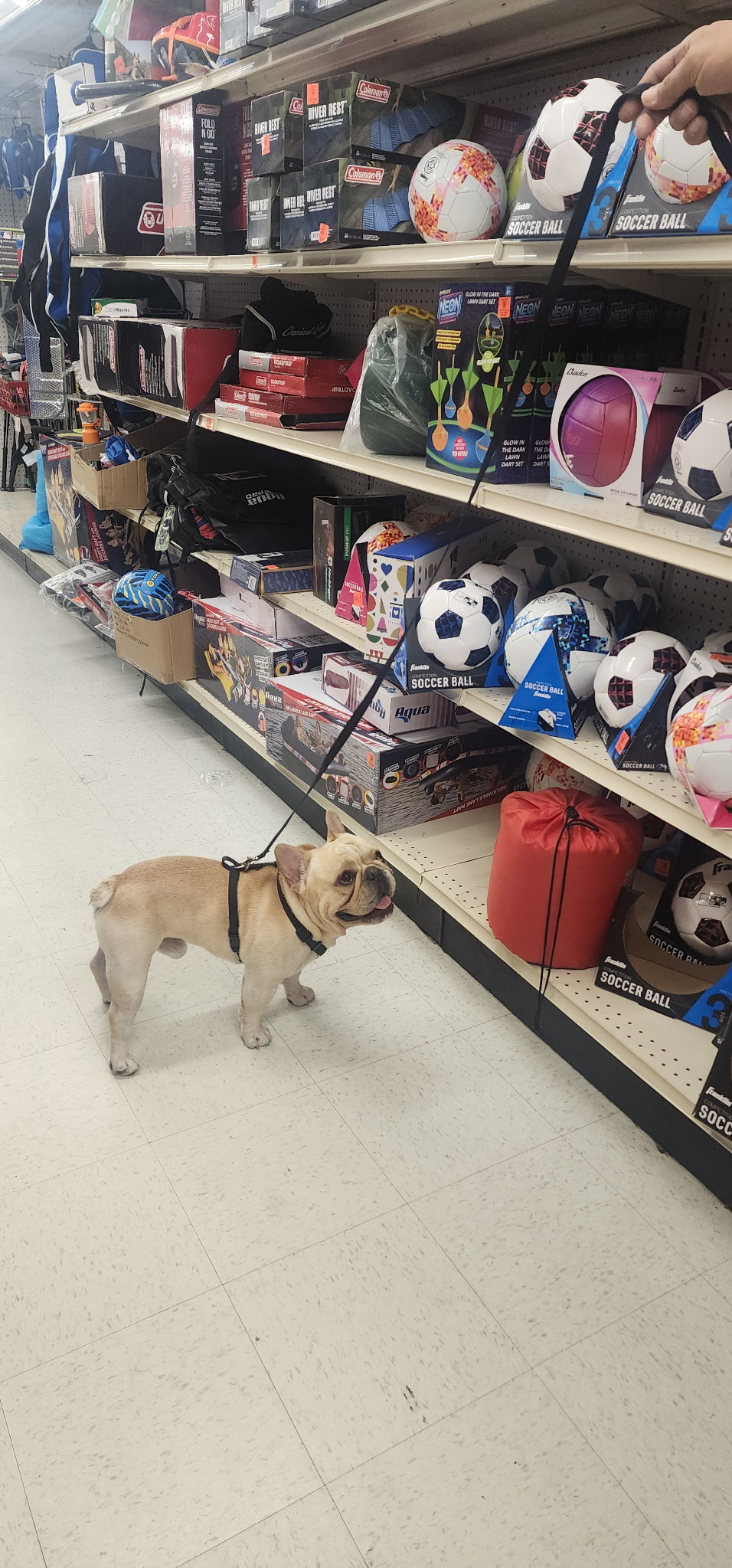 Winston picks out a ball