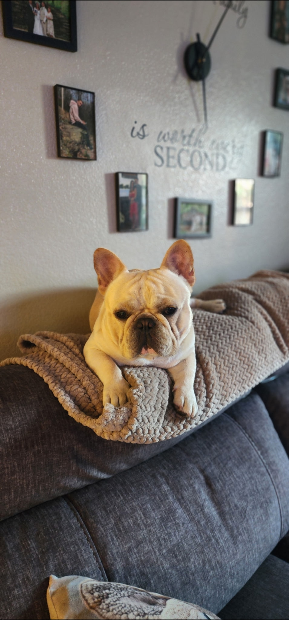 Winston gets on the couch
