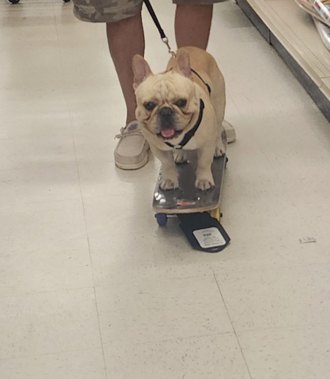 Winston goes skateboarding
