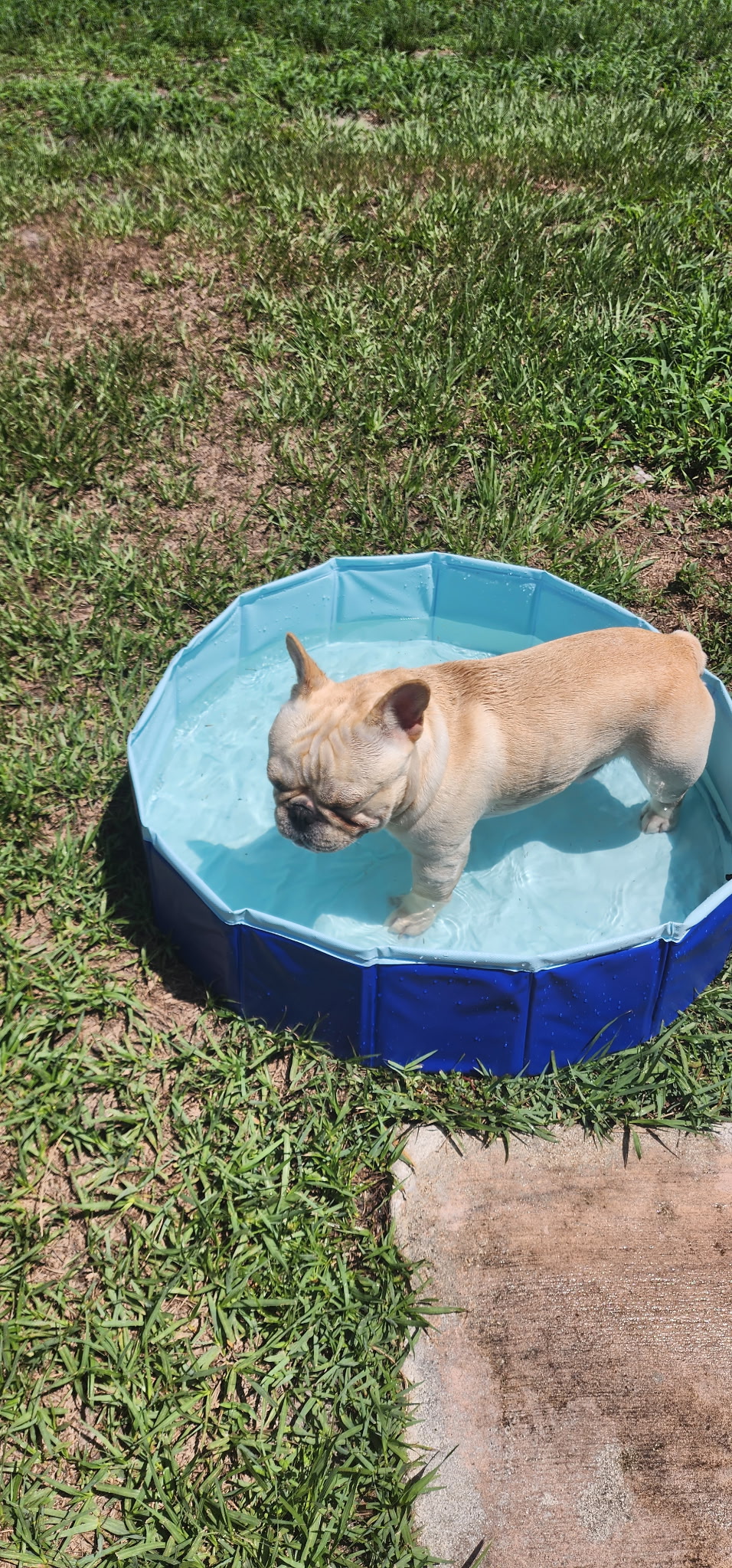 Winston goes swimming